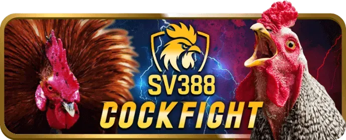 Đá gà trực tuyến VIP88